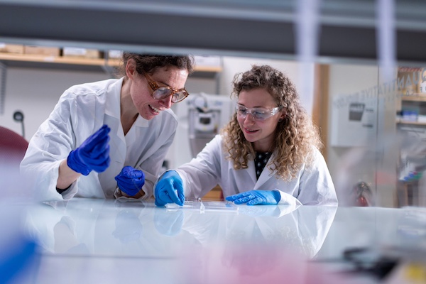 Scientist as a microscope